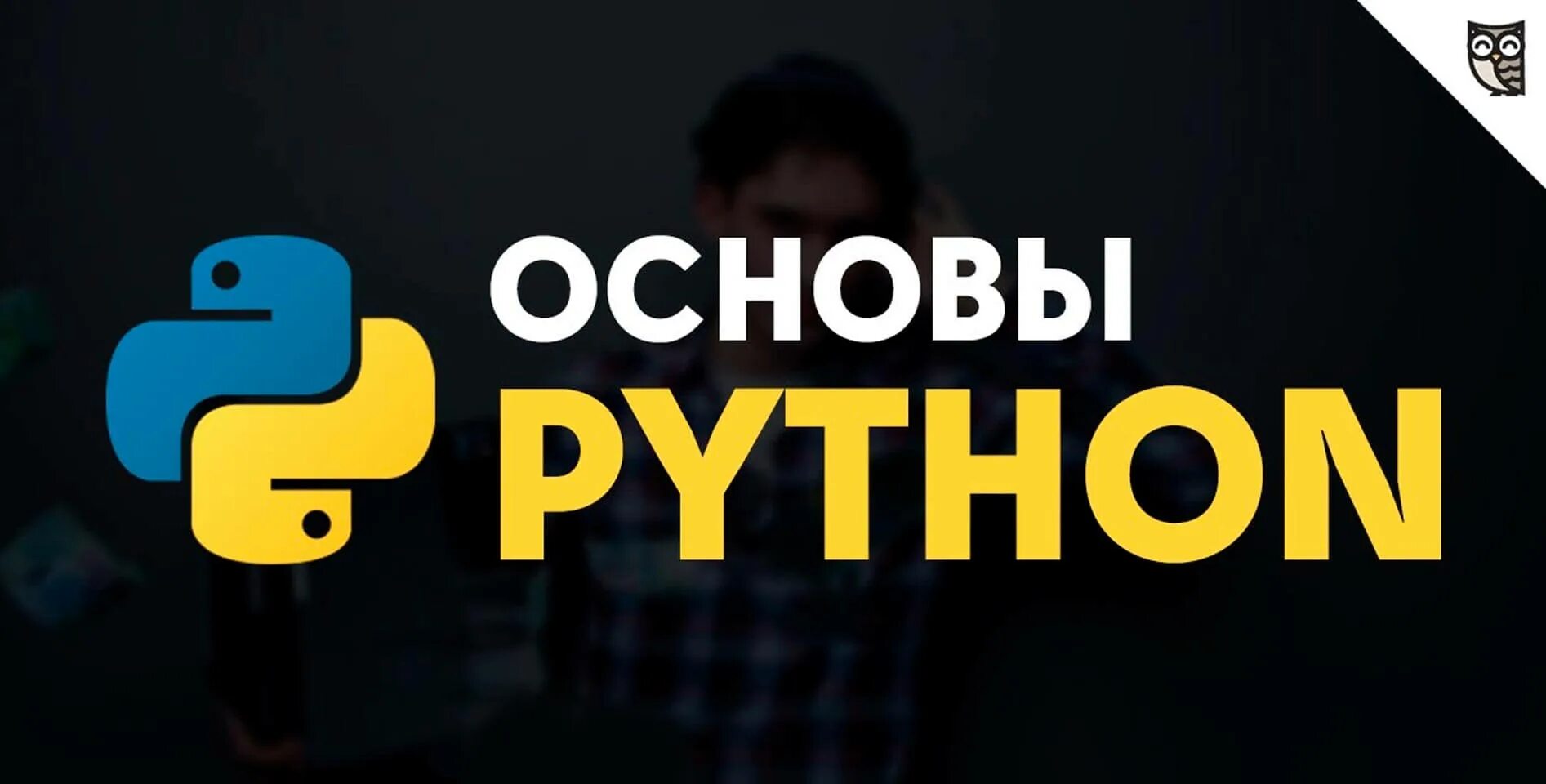 Видеоурок питон. Python основы. Основы питона. Основы Пайтон. Видео уроки Python.