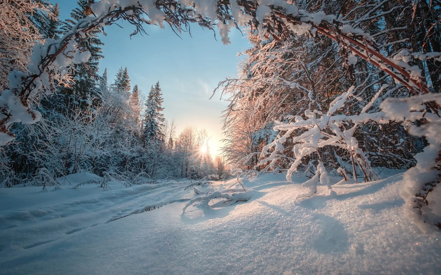 Снежка россия. Зимняя природа. Зимний лес. Красивая зима. Зима пейзаж.