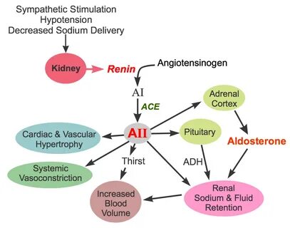 Causes of process