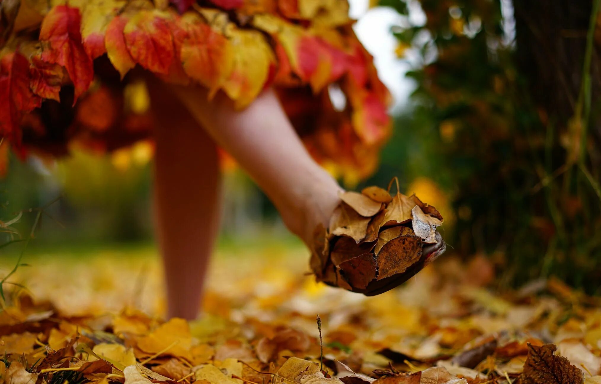 Ноги листья. Осень листья под ногами. Ноги в осенних листьях. Ноги в листве осенней. Виновата осень