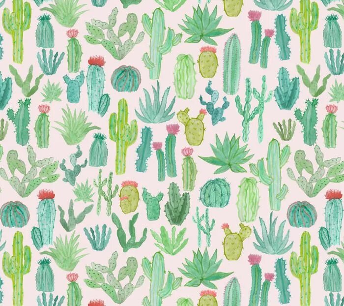 Cactus in a scarf wellerman. Принт кактусы. Кактусы паттерн. Фон кактусы. Разноцветные кактусы.