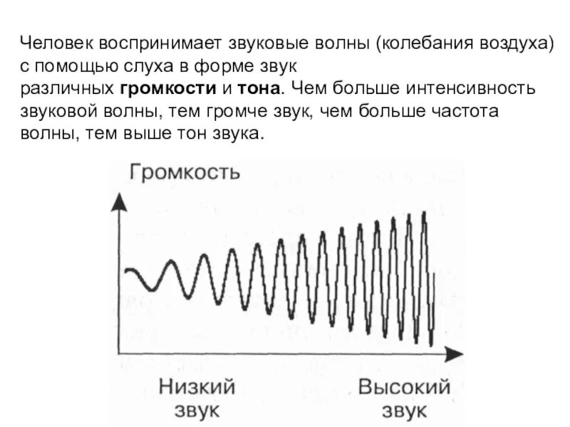 Звуковые волны воспринимаемые человеком