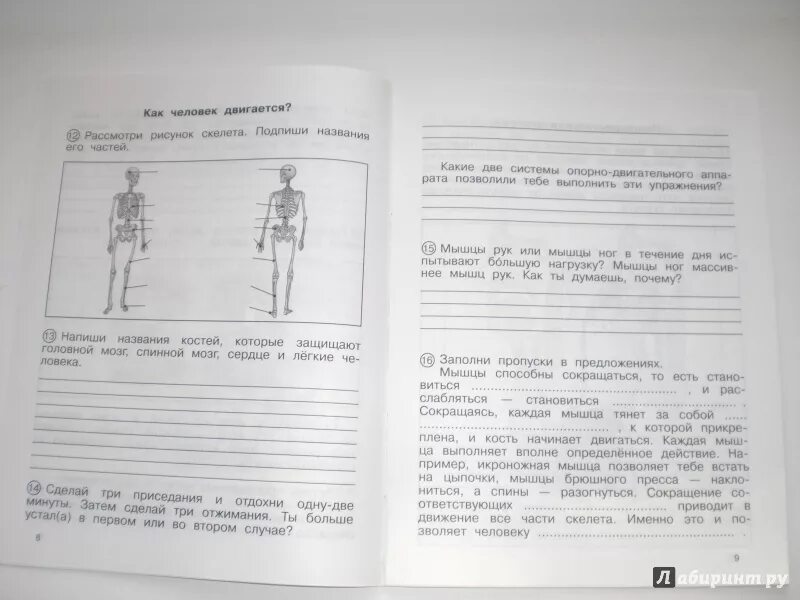 Федотова 4 класс рабочая тетрадь 2