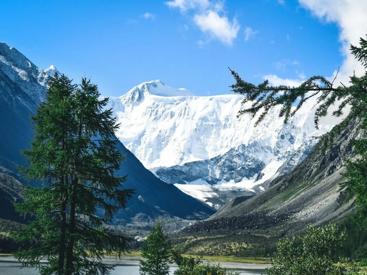 Самая высокая вершина сибири гора. Белуха горный Алтай. Священная гора Белуха Алтай. Подножье Белухи горный Алтай.