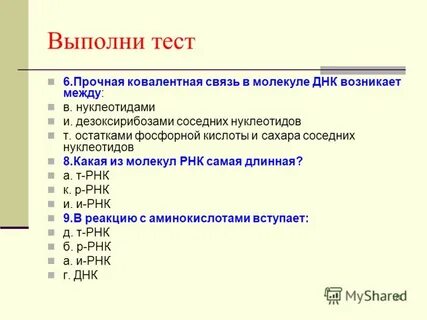 Явиться б