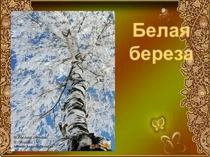 Белая береза фристайл песня слушать