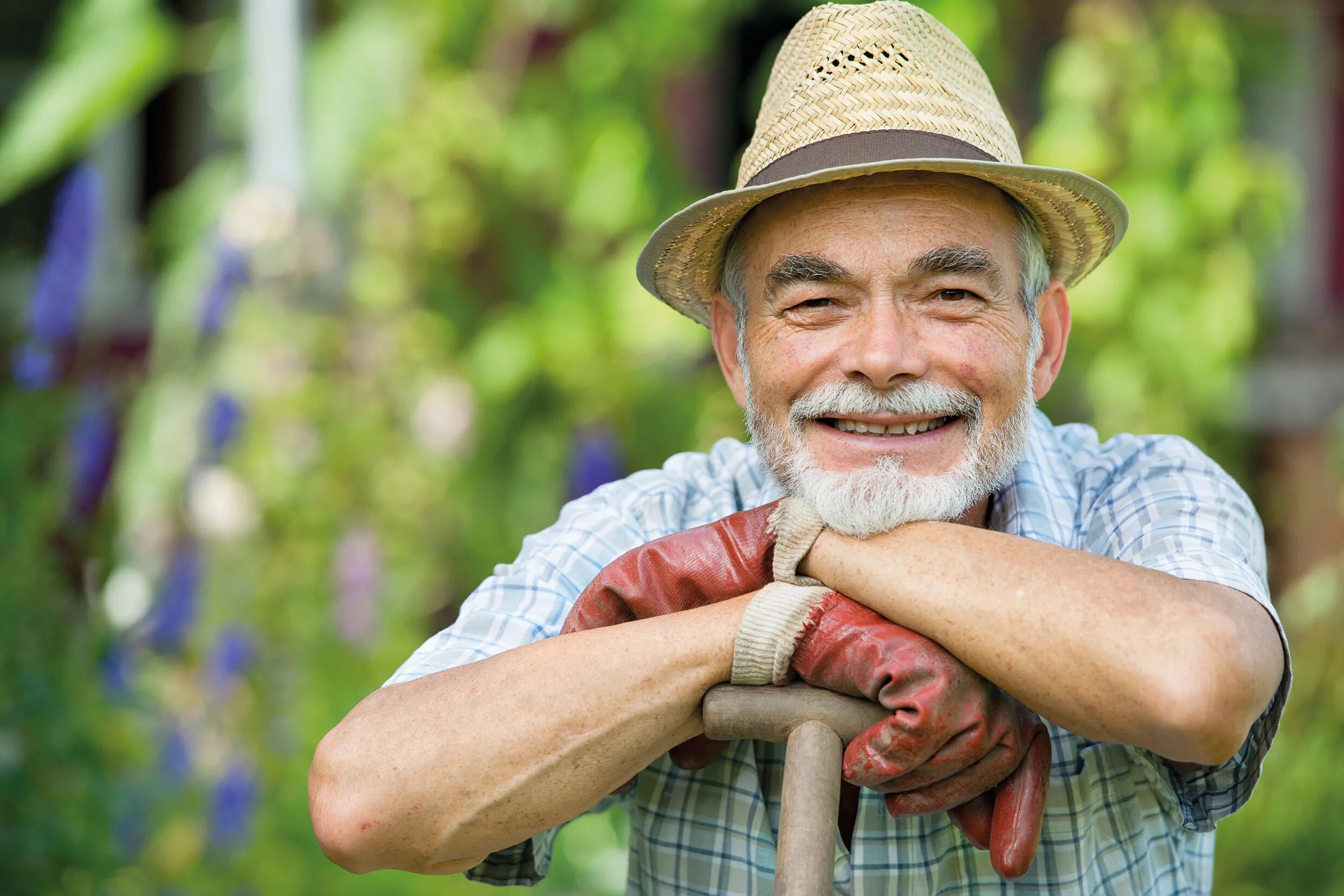 Приветливый старик. Счастливый дедушка. Старик фермер. Старик садовник. Пенсионеры на даче.