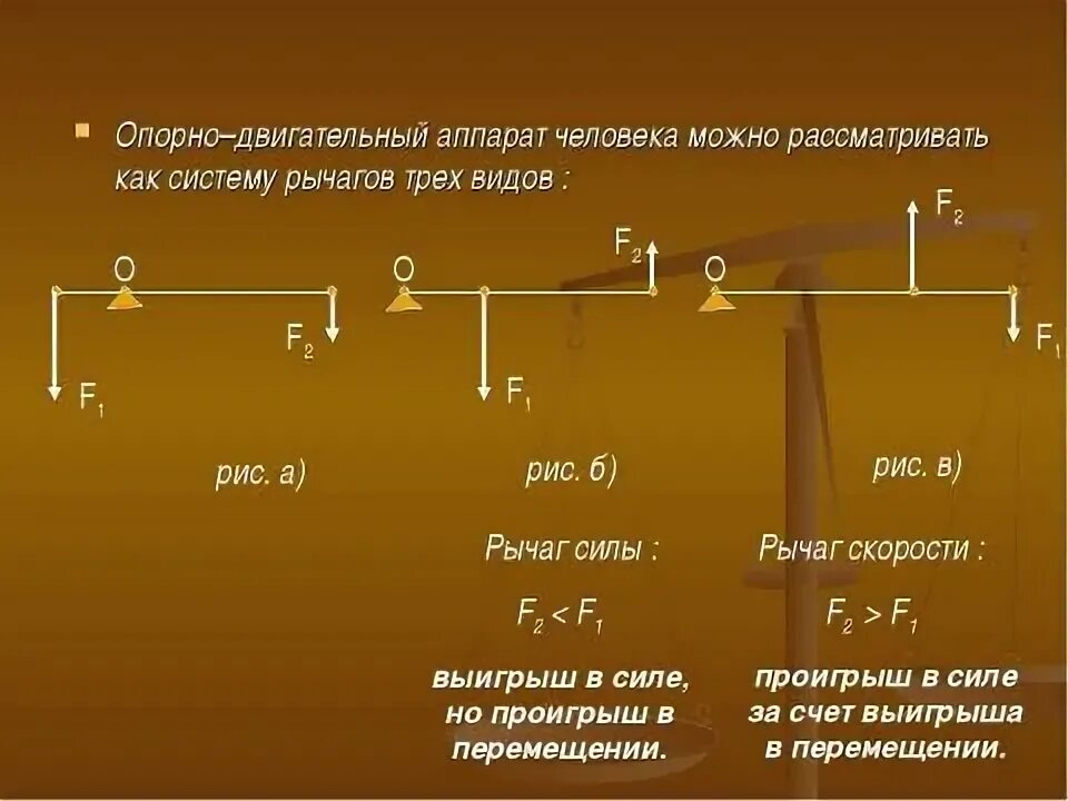 Формула рычага. Сила рычага формула. Как рассчитать рычаг. Силы рычага второго рода формула. Какое действие оказывают на рычаг силы