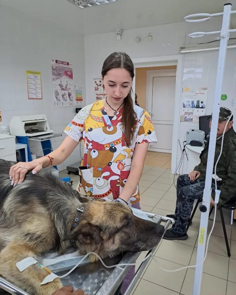 Спектр вет бабушкинская. Тулунская СББЖ. Ветеринарная клиника Вари. Верхнеуслонская ветеринарная клиника. Дальнегорская ветеринарная клиника.