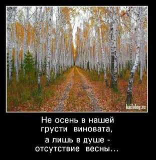 А что дальше а дальше осень