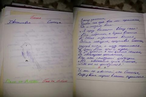 Дневниковые записи пример