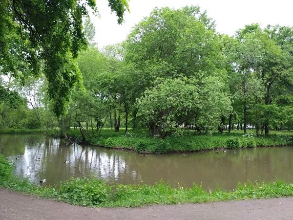 Фото, Парк Новознаменка, Санкт-Петербург - фотографии на PtMap.ru