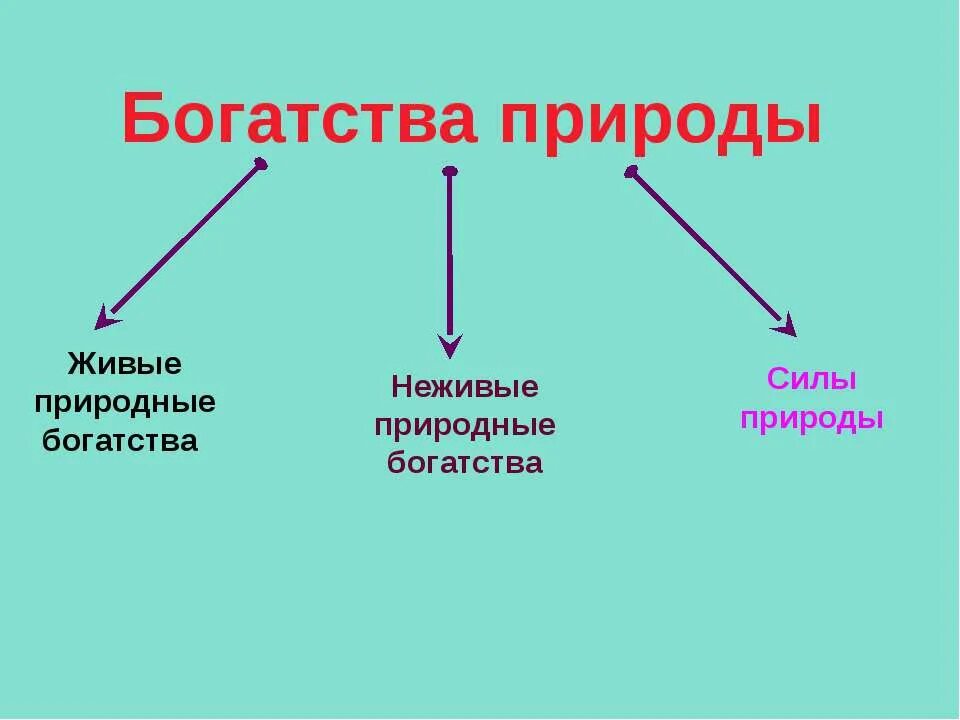 доклад на тему природные богатства. богатство природы земли 3 класс. богатства природы. богатства природы отданные людям. полезные ископаемые в экономике.