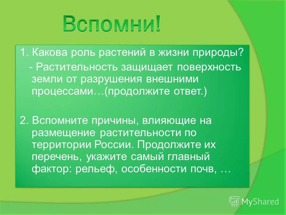 Роль растений в природе. Роль растительности. Важность растений в природе. Роль растений в природе и жизни человека. Ведущая роль растений в природном сообществе заключается