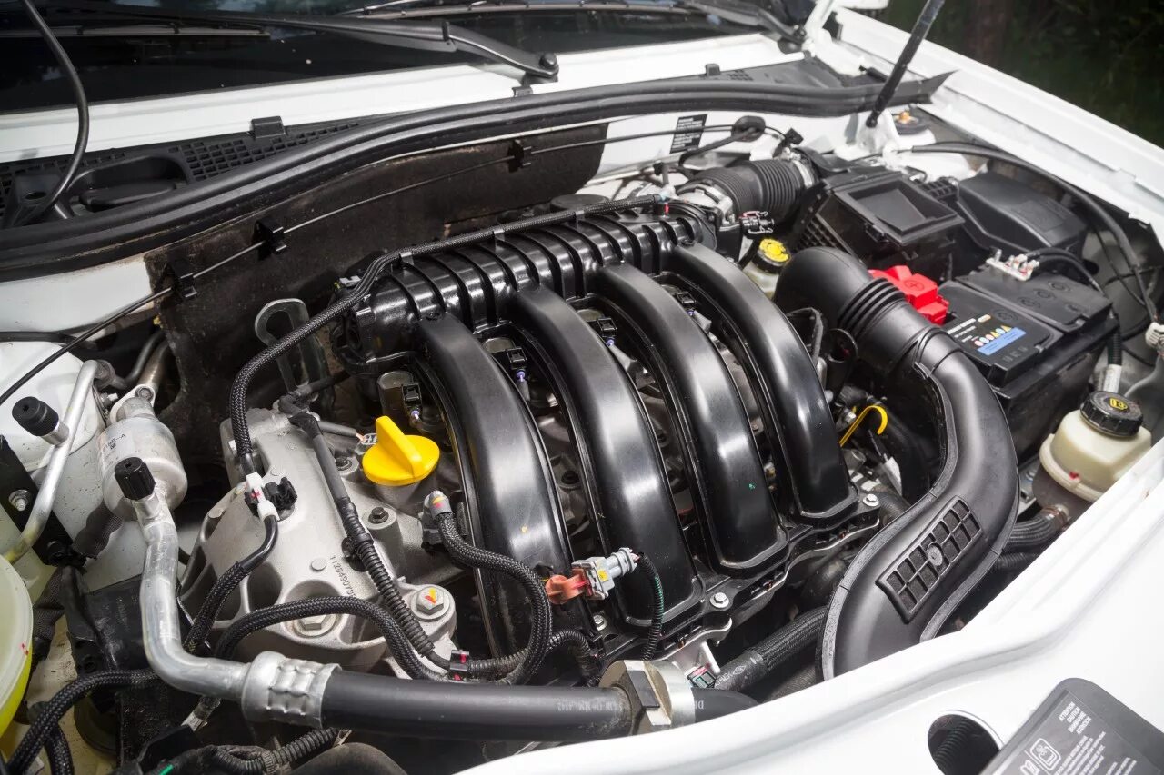 Новый двигатель рено дастер. Двигатель Renault Duster 2.0 f4r. Мотор Ниссан Террано 1.6. Двигатель Nissan Terrano 2016 год. Мотор Ниссан Террано 2.0.