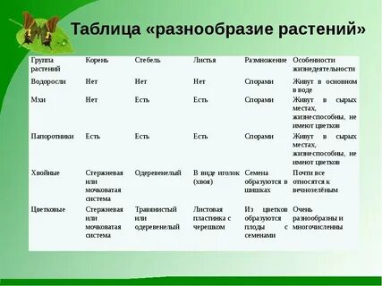 Растения по группам значению