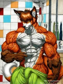 Fury muscle 18