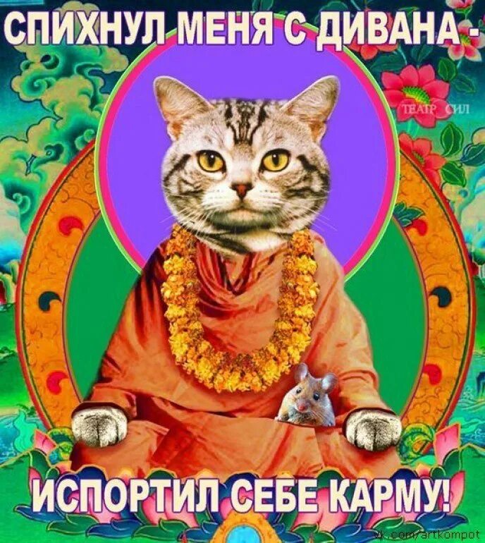 Коты портят. Спихнул кота с дивана испортил себе карму. Карма юмор. Кот просветление. Карма прикол.