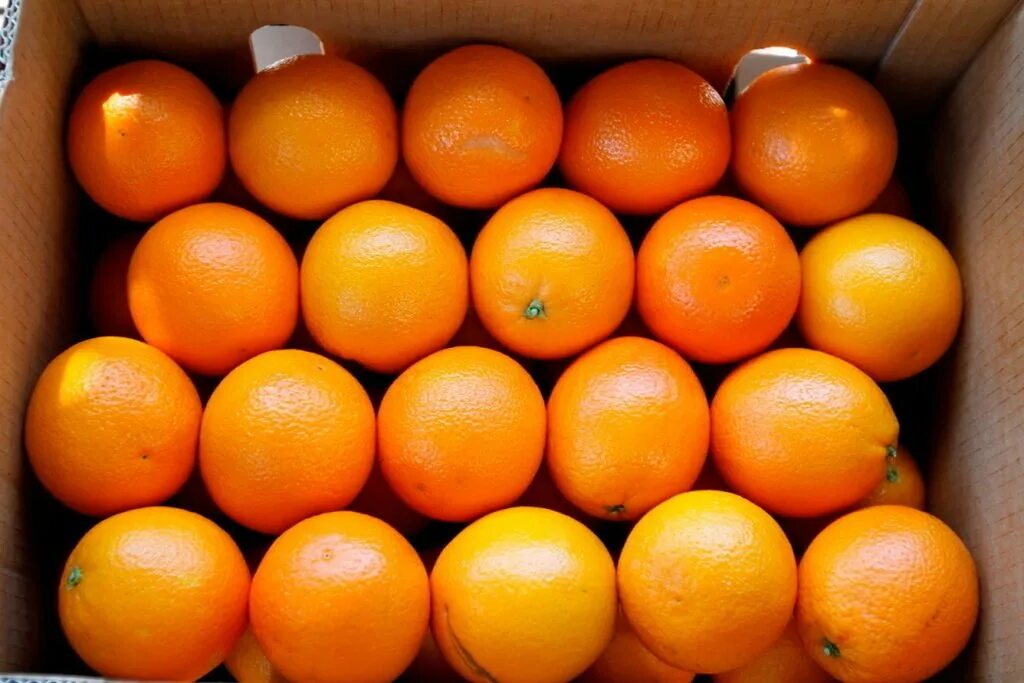 Килограмм апельсинов через. Апельсин Египет, вес 1кг. Апельсины Турция 1 кг. Апельсин 60 1кг Иран. Апельсины Египет, 1 кг.