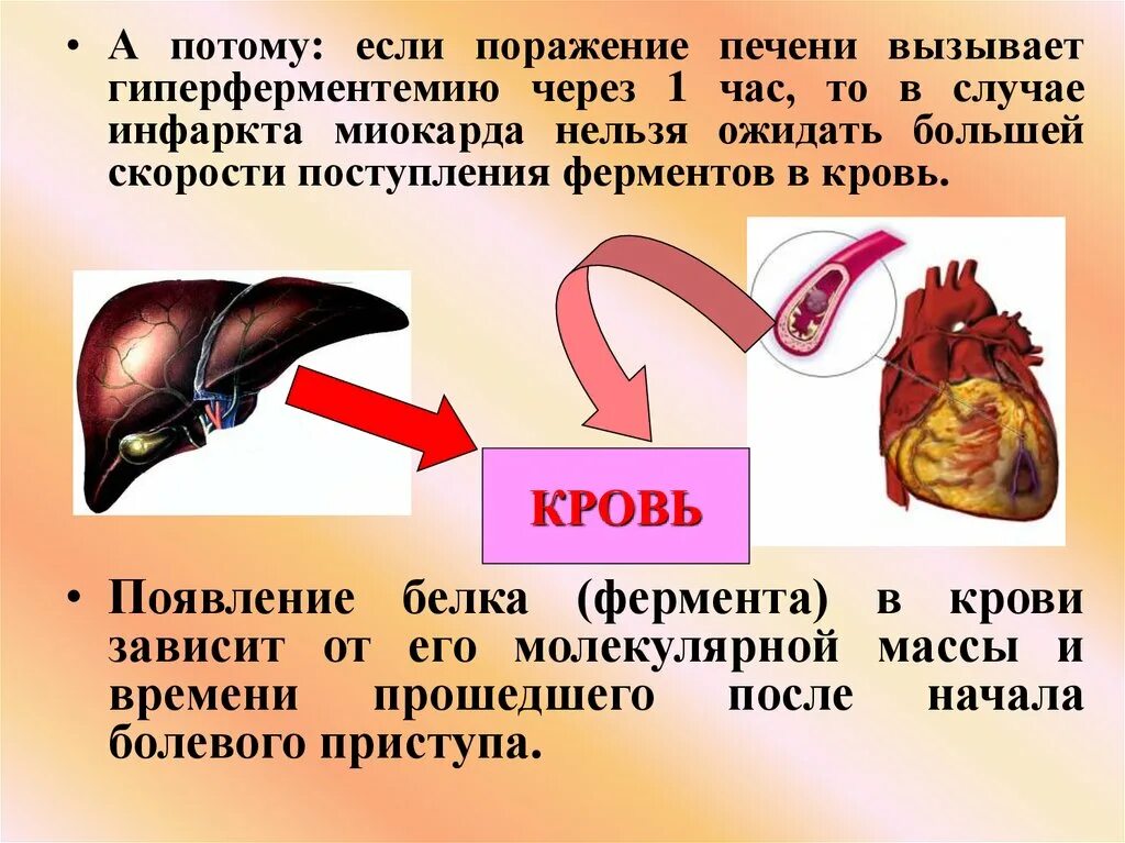 Печень при инфаркте миокарда. Смешанный инфаркт печени. Венозный инфаркт печени на кт. Первая помощь печени