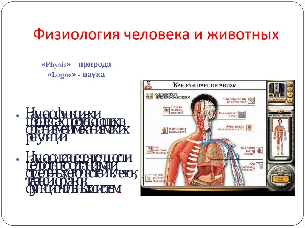 Физиология человека. Физиология человека и животных. Физиология человека презентация. Физиологические человека.