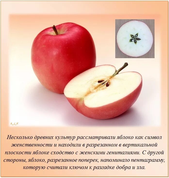 И различную интересную информацию