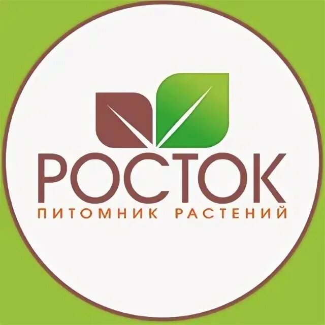 Сайт росток питомник челябинск. Питомник растений Росток. Питомник Росток. Касли труда 1 питомник Росток.