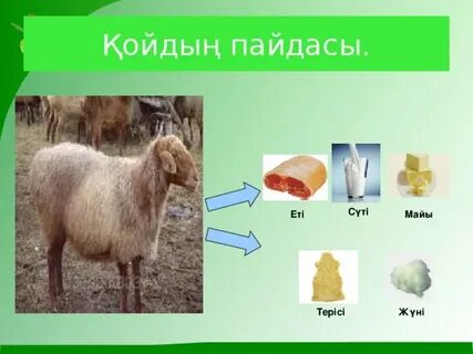 Жыныстық азғыру бейне