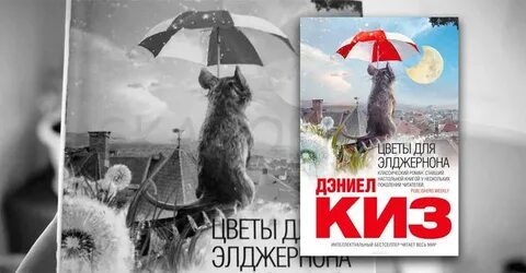 Описание элджернона
