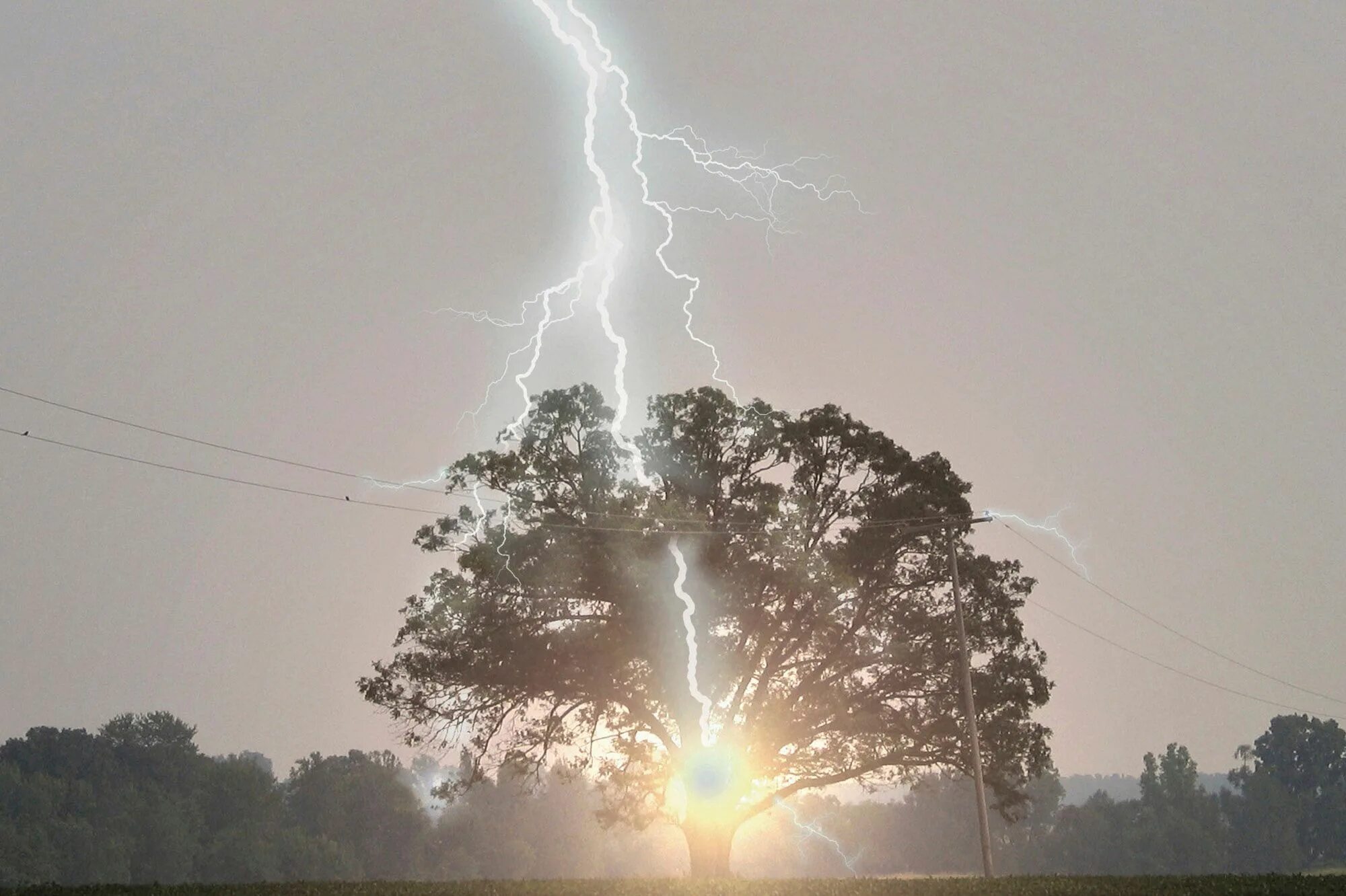 сухая гроза. молния в лесу. гроза миновала. пожар от молнии. молния громоотвод.