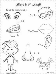 Parts of body задания