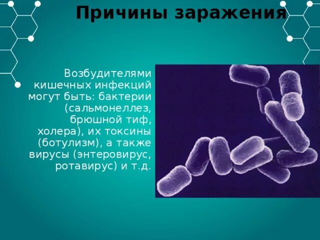 Зарисовать возбудителей кишечных инфекций. Брюшной тиф возбудитель бактерия. Возбудители бактериальных кишечных инфекций ботулизма. Дизентерия брюшной тиф холера. Ботулизм сальмонеллез