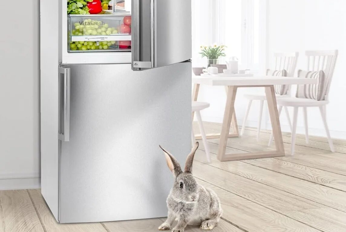 Холодильник донецк днр. Холодильник донецк днр. Холодильник фармацевтический позис 250. Завод холодильников дон фрост. Холодильник донецк днр.