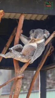 Его взгляд полон такого обаяния и самоуверенности, что кажется, он вот-вот....