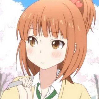 Welcome riko rika s bus guide tour
