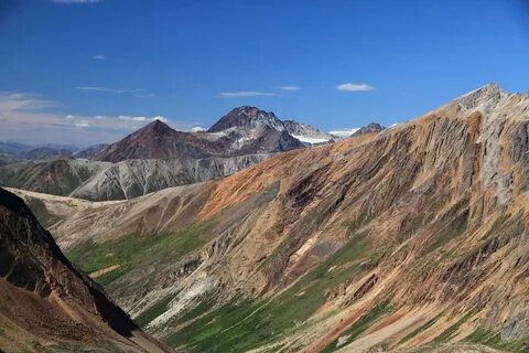 Wild mountain