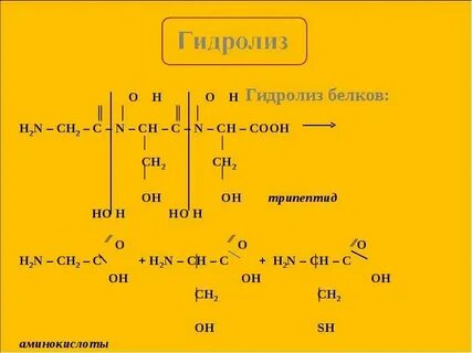 Реакции гидролиза органических веществ