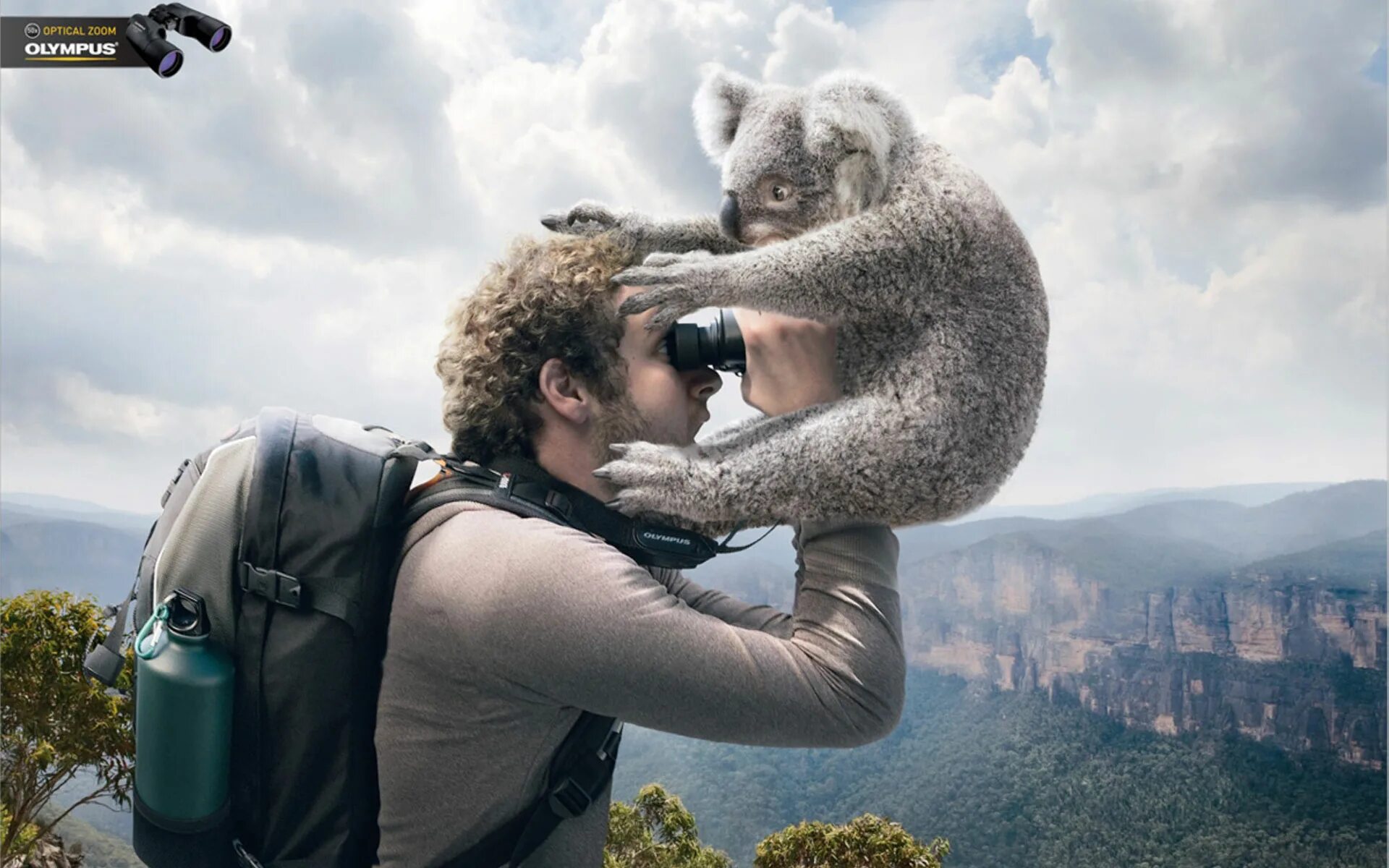 Смешные ситуации животных. Человек фотографирует животных. Забавные ситуации из жизни. Шедевры рекламы. Животные приколы.