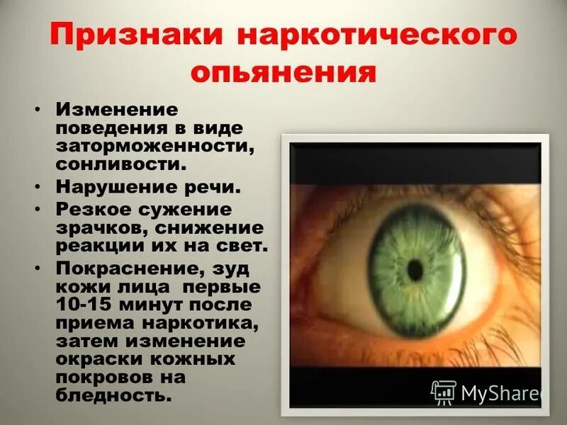 схема мироздания лайтман. сфинктер и дилататор зрачка мышца. сужение зрачков осуществляет система. сужение зрачков осуществляет система. сужение и расширение зрачка.