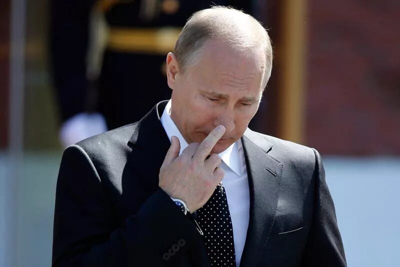Держатели Dark Putin (DPUTIN) 5, Анализ TON Blockchain DYOR