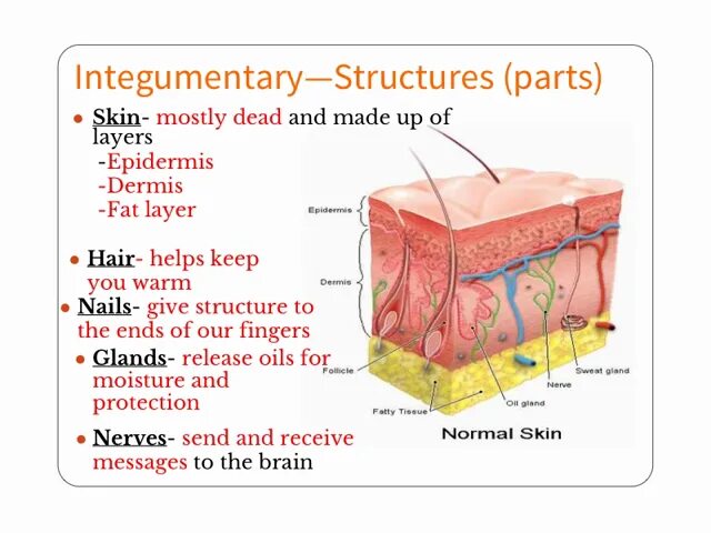 Intonation and its functions presentation. Word structure. Doped semiconductor type gazdetektorlar. Its structure. Its structure.