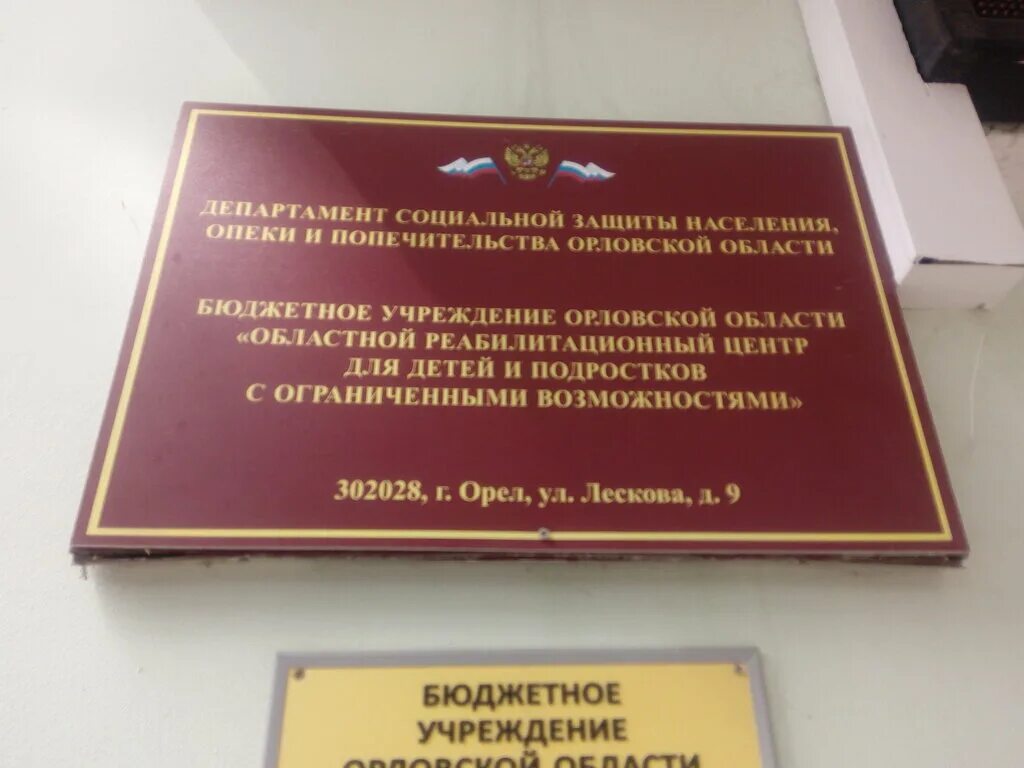 Красноярская опека и попечительство. Лескова 9, реабилитационный центр. Департамент опеки и попечительства Орловская область. Департамент социальной защиты Орел. Департамент соцзащиты Орел.