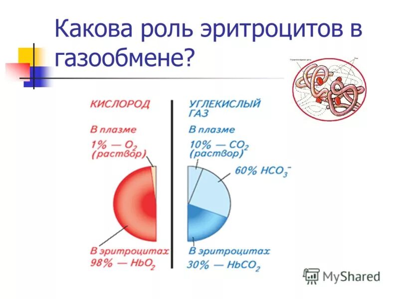 какова роль клетки в жизни