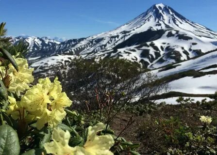 Камчатка тревел