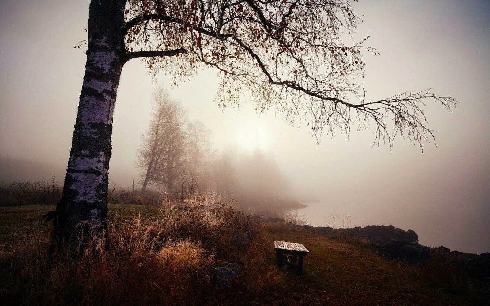 Тоскливый пейзаж. Тоскливые места. Тоскливые места. Тоскливые места. Осенний мрак.
