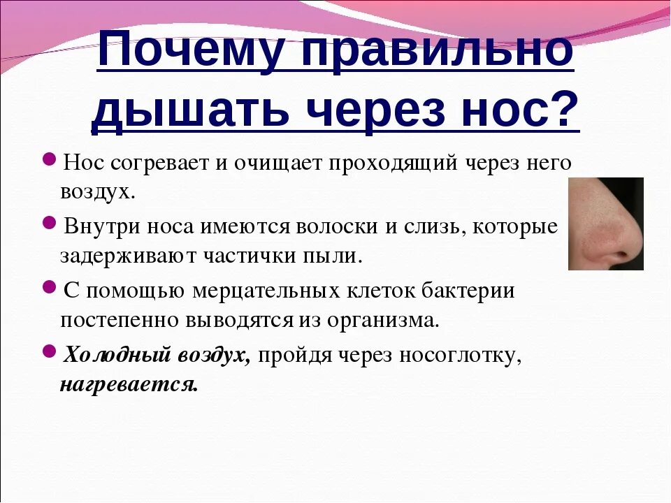 Дышат ли плоды. Почему нужно дышать через нос а не через рот. Почему необходимо дышать через нос. Почему важно дышать через нос. Почему правильно дышать носом.