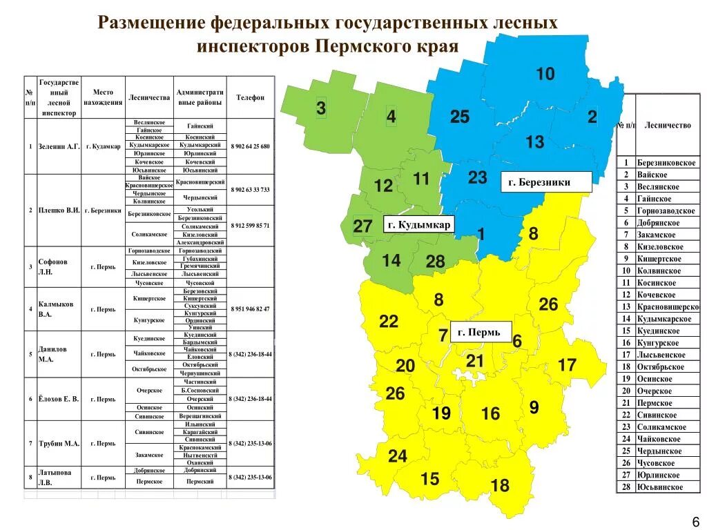 Сколько сейчас в пермском крае. Лесничества Пермского края по районам. Карта лесничеств Пермского края. Лесистость в регионах Пермского края. Карта лесного хозяйства Пермского края.