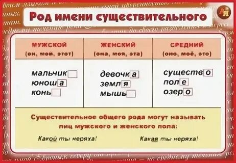 Имя это какой род существительного