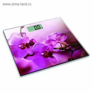 Весы напольные 150