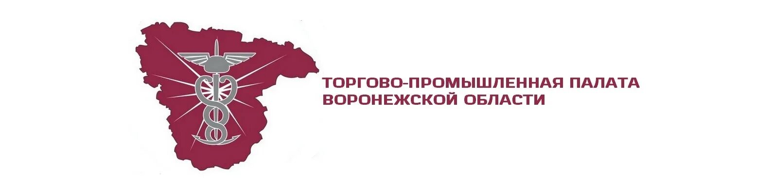 Союз торговых организаций. Торгово Промышленная палата Воронеж. Союз ТПП Воронежской области. Логотип ТПП Воронеж. Союз «торгово-Промышленная палата Орловской области»,.